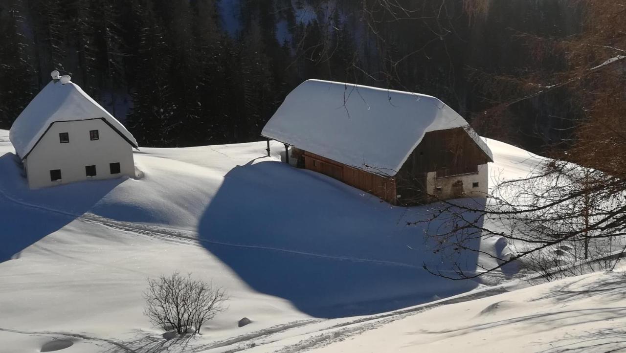 Gausrab Villa Hinterstoder Exterior foto
