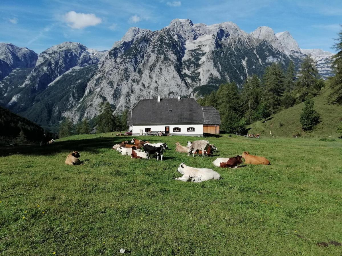 Gausrab Villa Hinterstoder Exterior foto